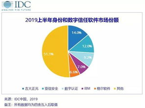 idc 上半年中国it安全软件厂商整体收入4.82亿美元
